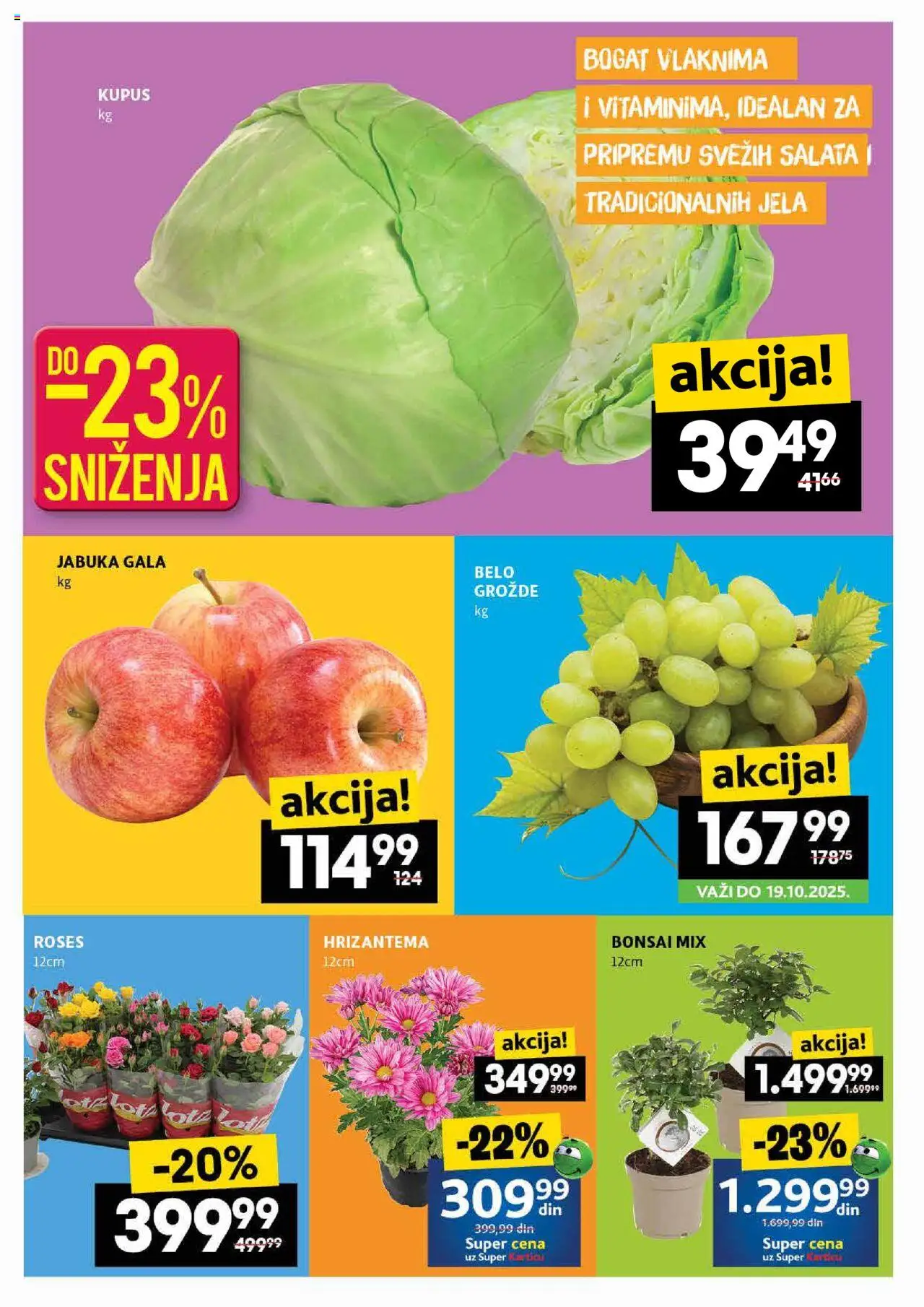 Idea katalog - važi od 16.10.2025 | Strana: 2 | Proizvode: Salata, Kupus, Hrizantema