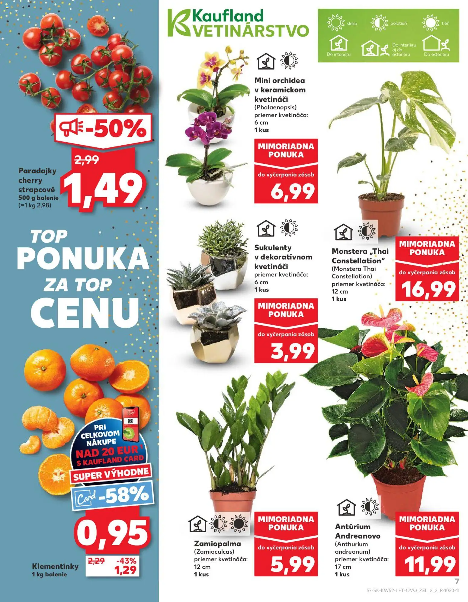 Nové Kaufland akcie – leták je platný od 27.12.2025 | Strana: 7 | Produkty: Paradajky, Orchidea