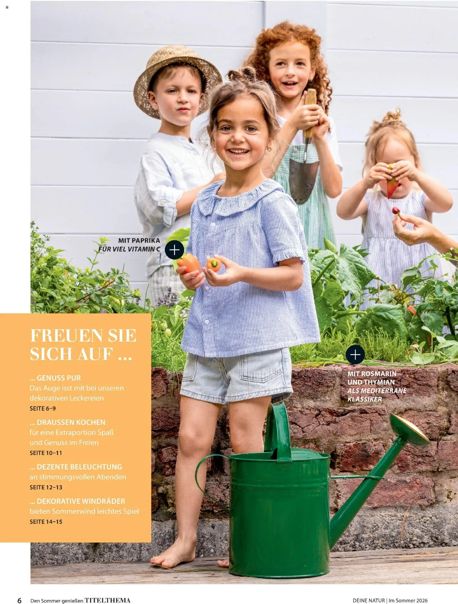 Dehner Flugblatt gültig ab 01.05.2026 | Seite: 6 | Produkte: Spiel