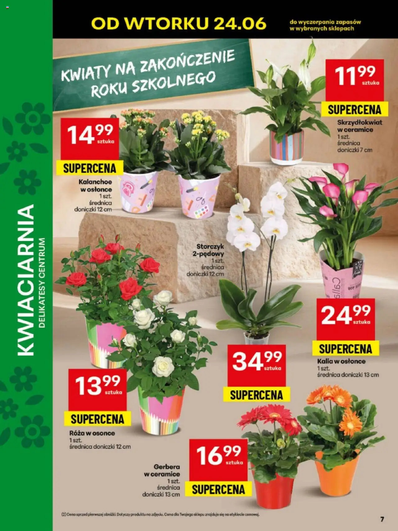 Delikatesy Centrum Gazetka - Sklepy Własne od 23.06.2025 | Strona: 7 | Produkty: Delikatesy, Doniczki, Storczyk, Kwiaty