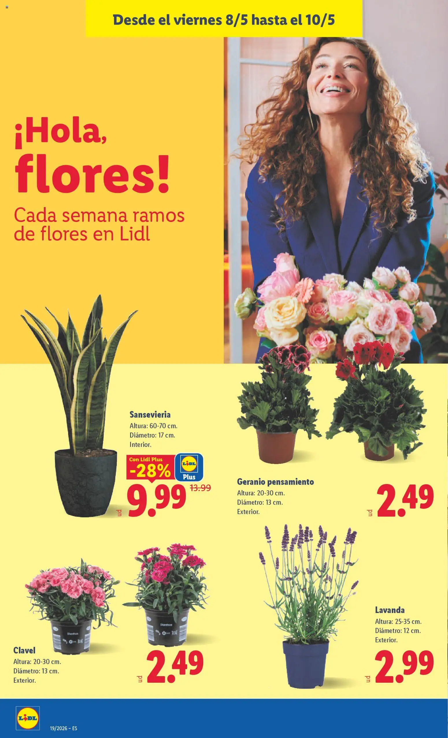 Lidl folleto │ válido desde el 04.05.2026 | Página: 50