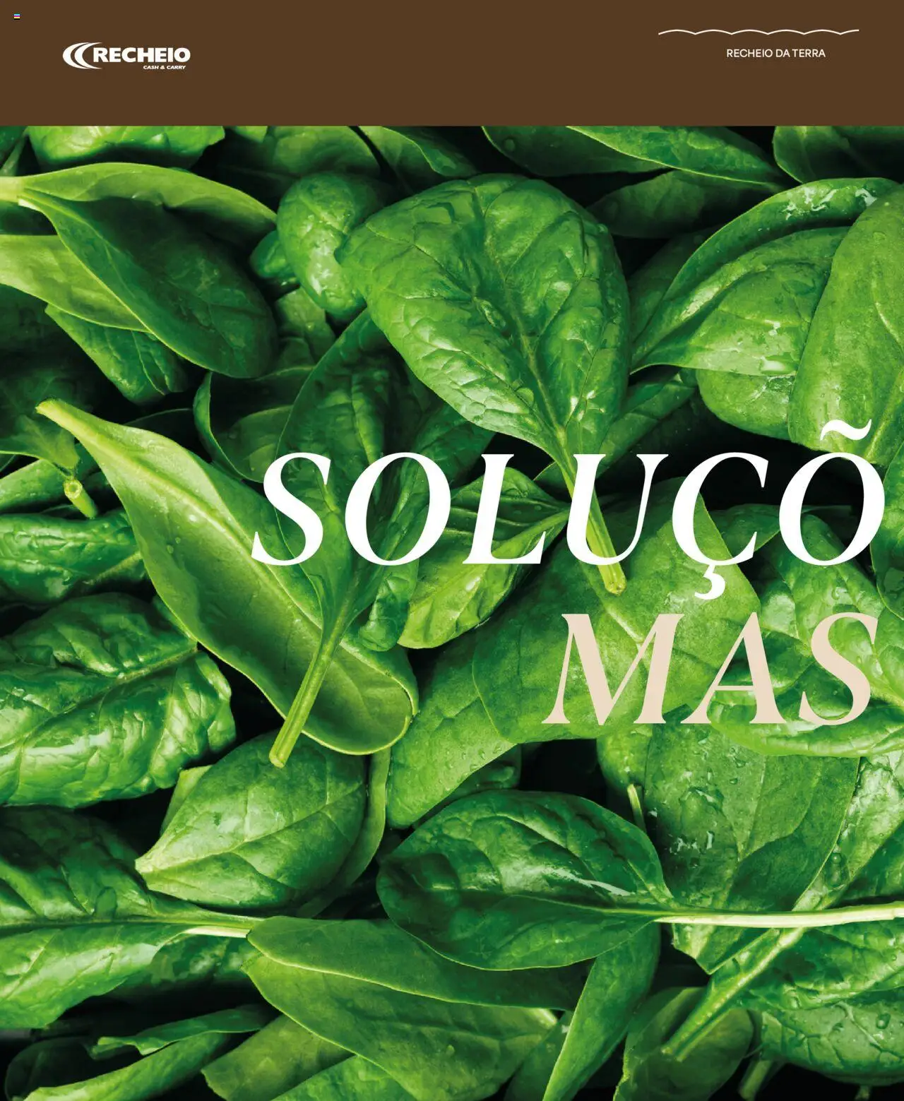 Recheio - Recheio da Terra │ válido de 25.09.2025 | Página: 40