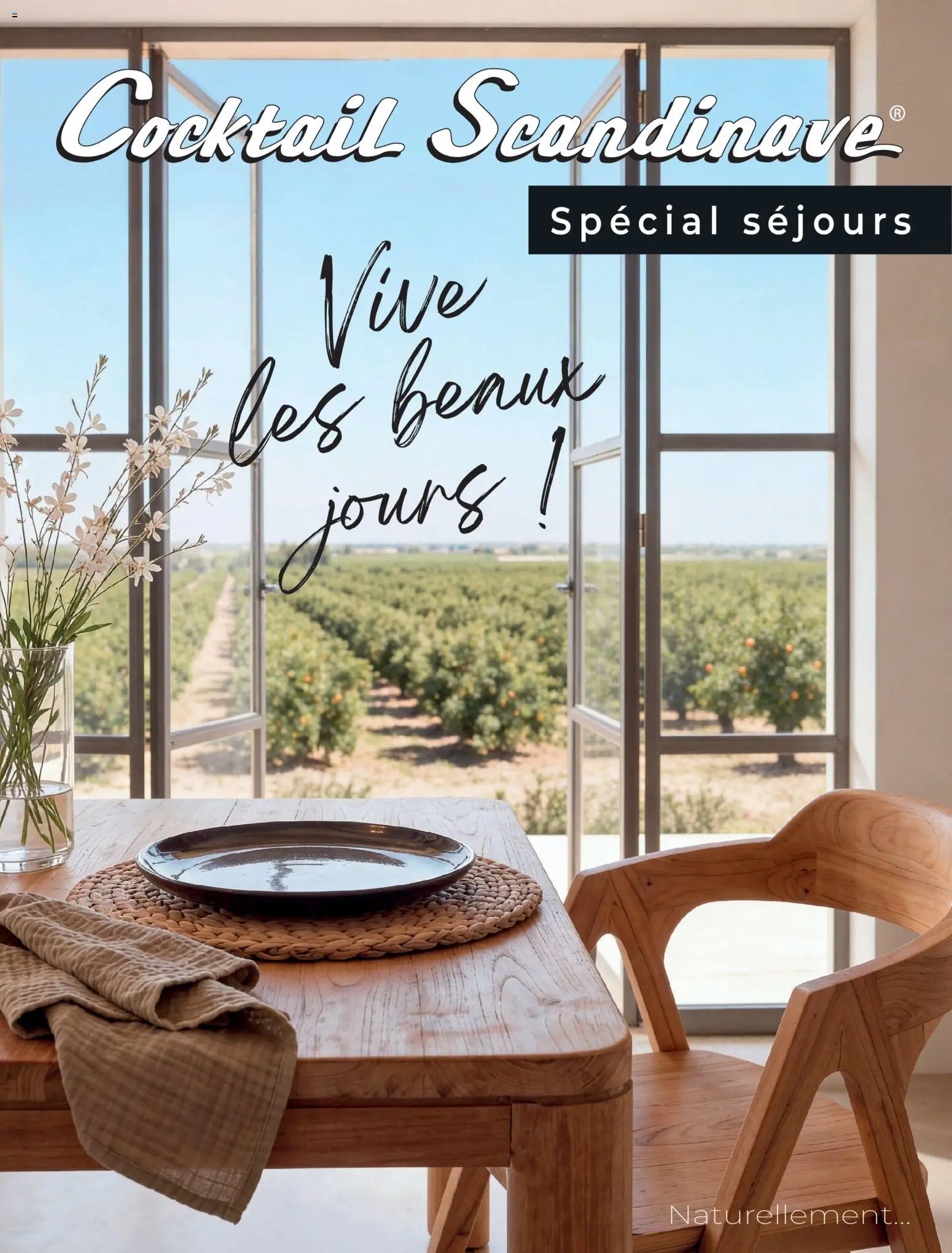 Les promos Cocktail Scandinave débarquent le 26/04/2026 ! 🤯💰 | France