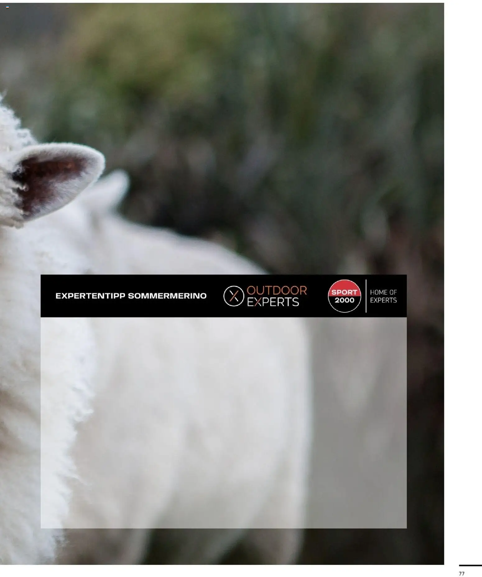 Sport2000 Prospekt Frühjahr 2026 – gültig ab 12.04.2026 | Seite: 77