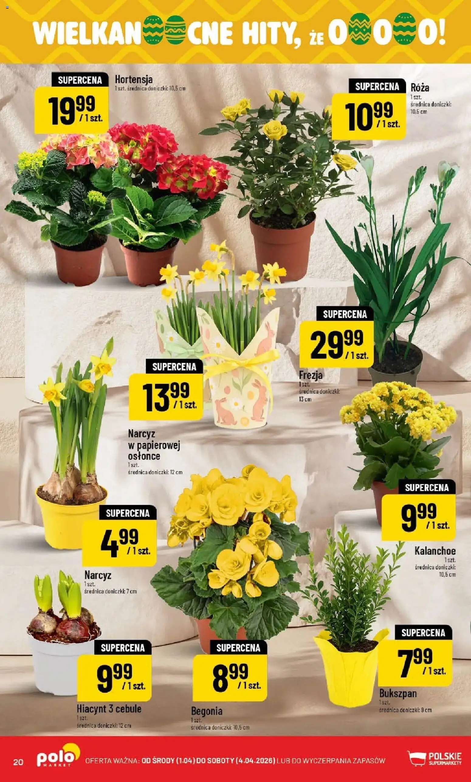 POLOmarket gazetka od 01.04.2026 | Strona: 20 | Produkty: Doniczki, Kalanchoe, Cebule