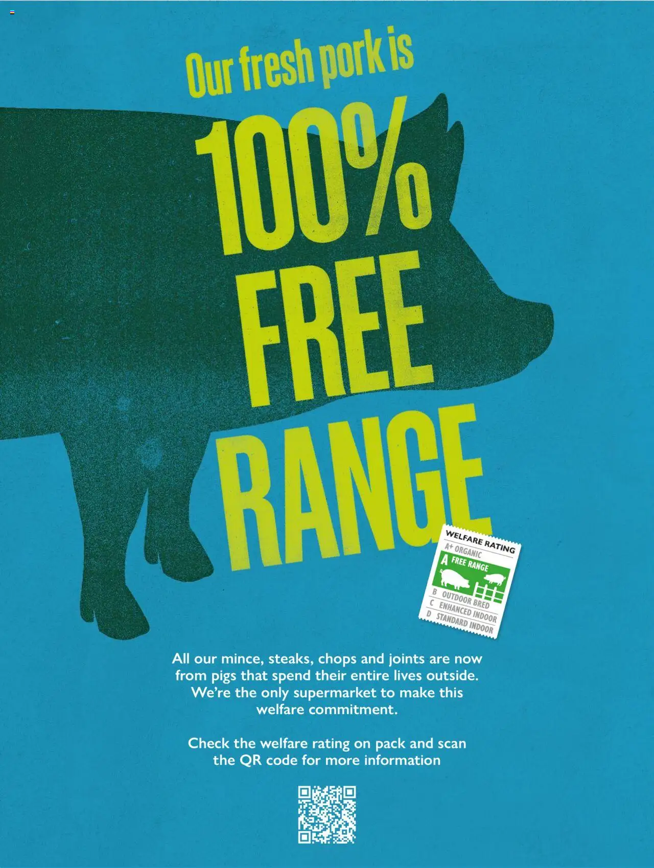 {H1} | Page: 4 | Products: Pork