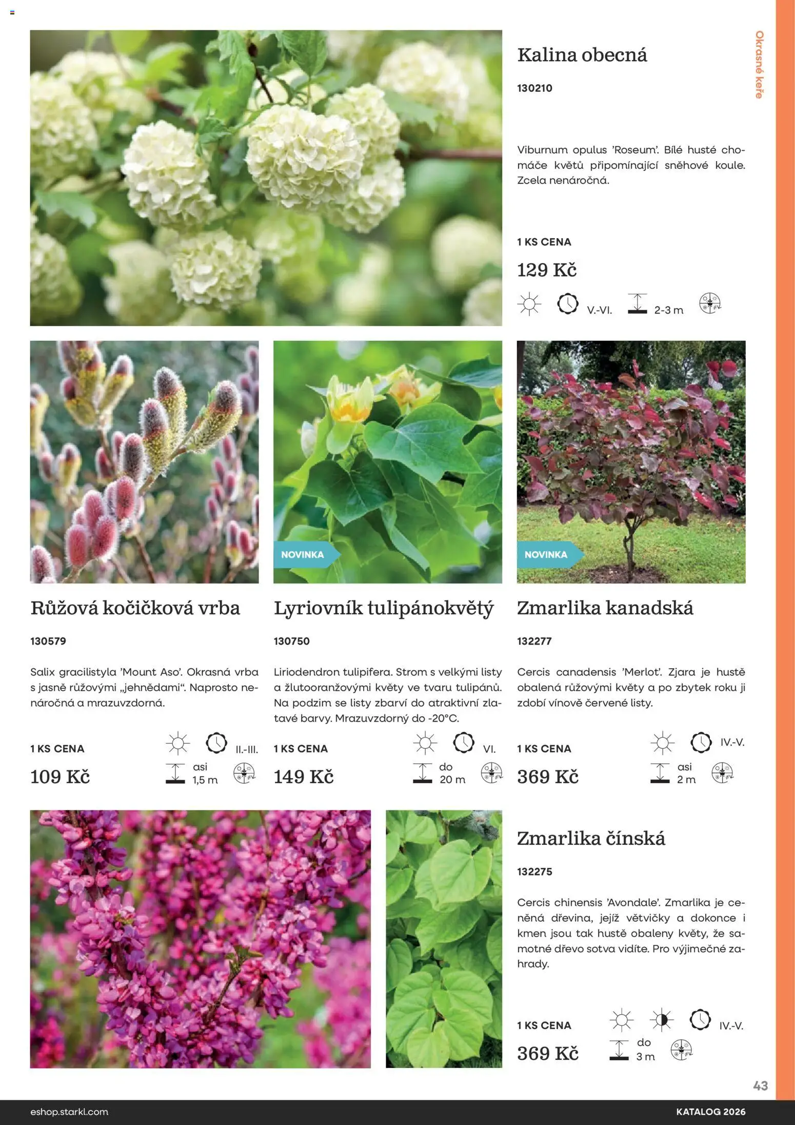 Starkl katalog od 25.02.2026 | Strana: 43