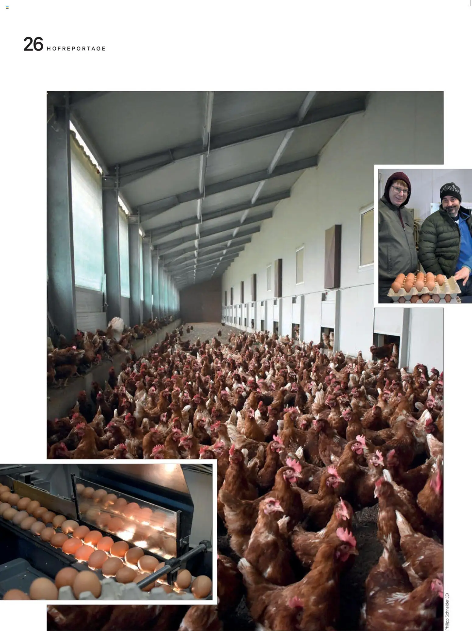 Lagerhaus Unser Land Jänner-Februar  2026 gültig ab 01.01.2026 | Seite: 26