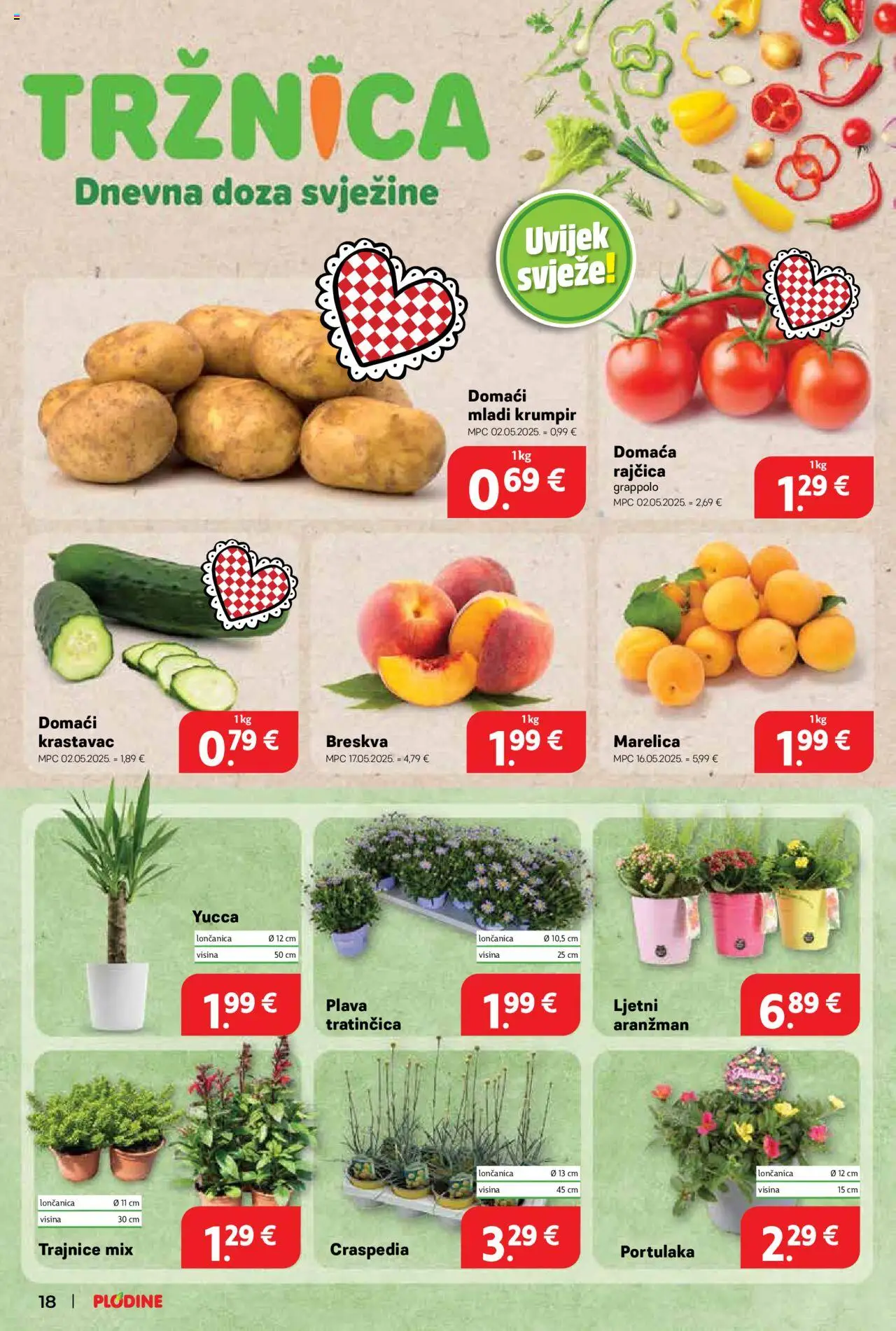 Plodine katalog | vrijedi od 25.06.2025 | Stranica: 18 | Proizvodi: Krastavac, Krumpir, Breskva, Rajčica