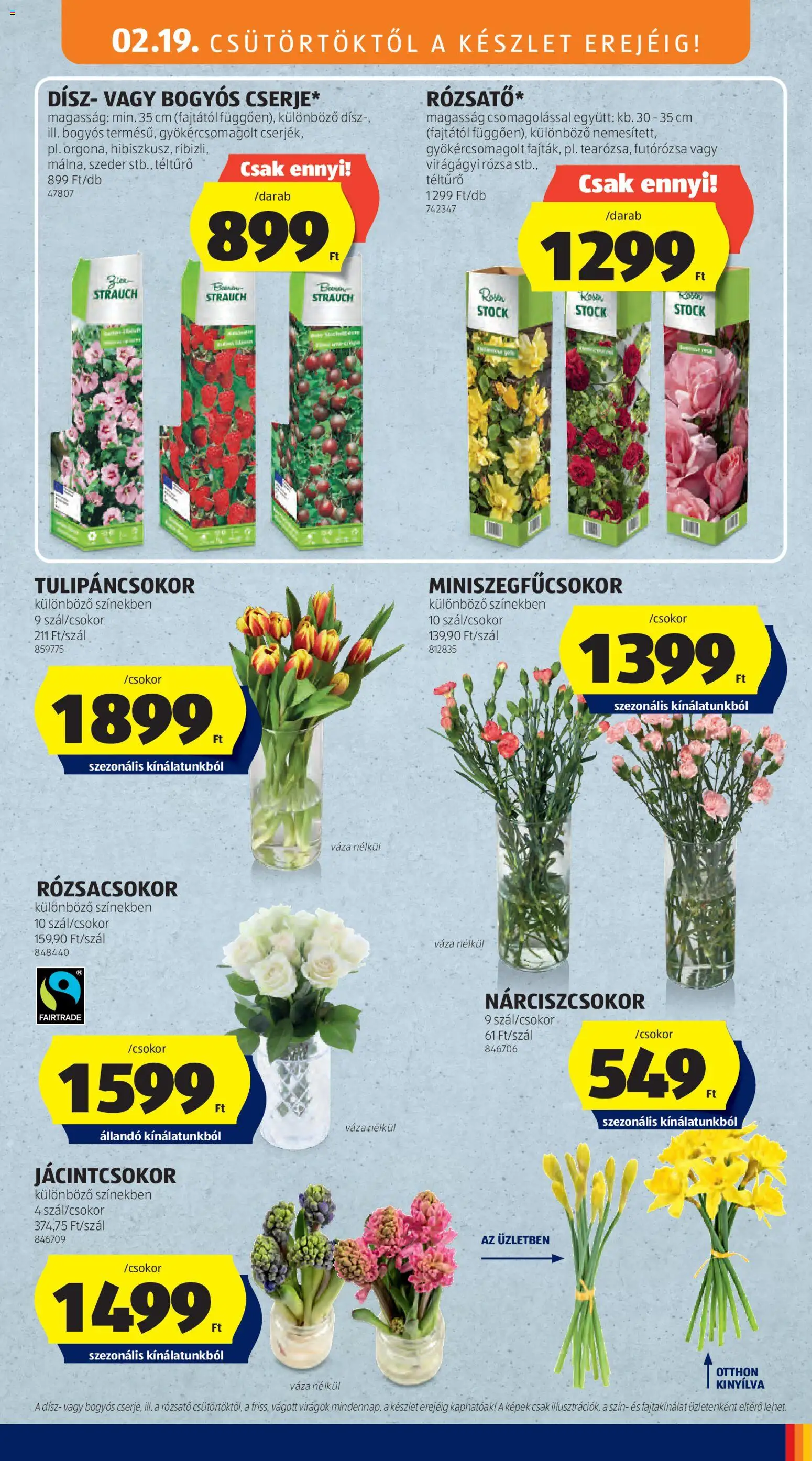 Aldi akciós ujság - amely érvényes a következő dátumtól: 19.02.2026 | Oldal: 27