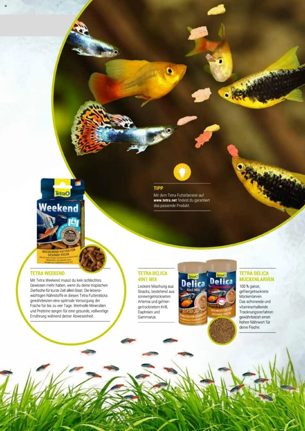 zookauf Themenkatalog Aquaristik – gültig ab 01.10.2025 | Seite: 45