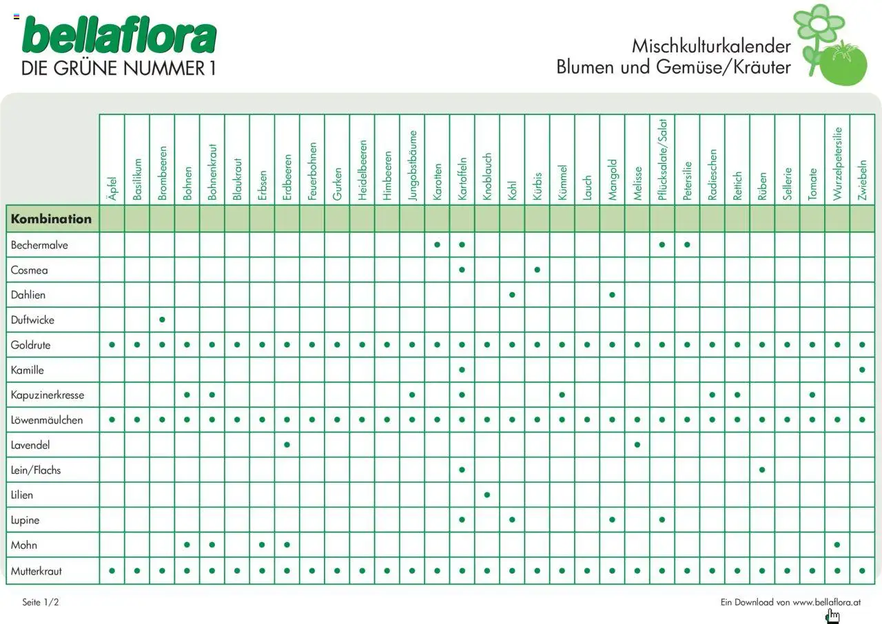 bellaflora - Mischkultur Blumen mit Gemüse/Kräutern gültig ab 13.02.2023 | Seite: 1