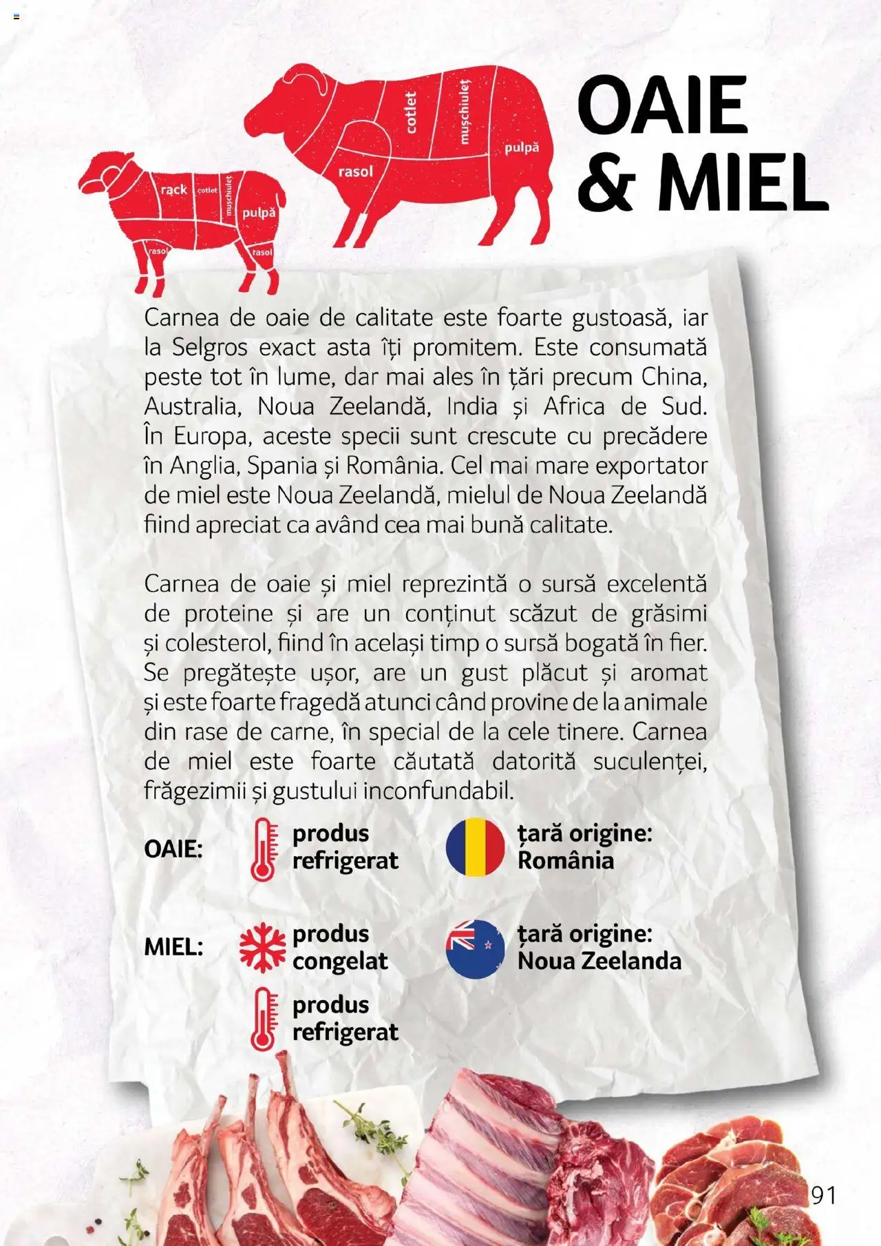 Catalog Selgros - Carne – valabil de la 27.04.2023 | Pagină: 91 | Produse: Masaüstü kılıfı, Rață, Pește, Rasol