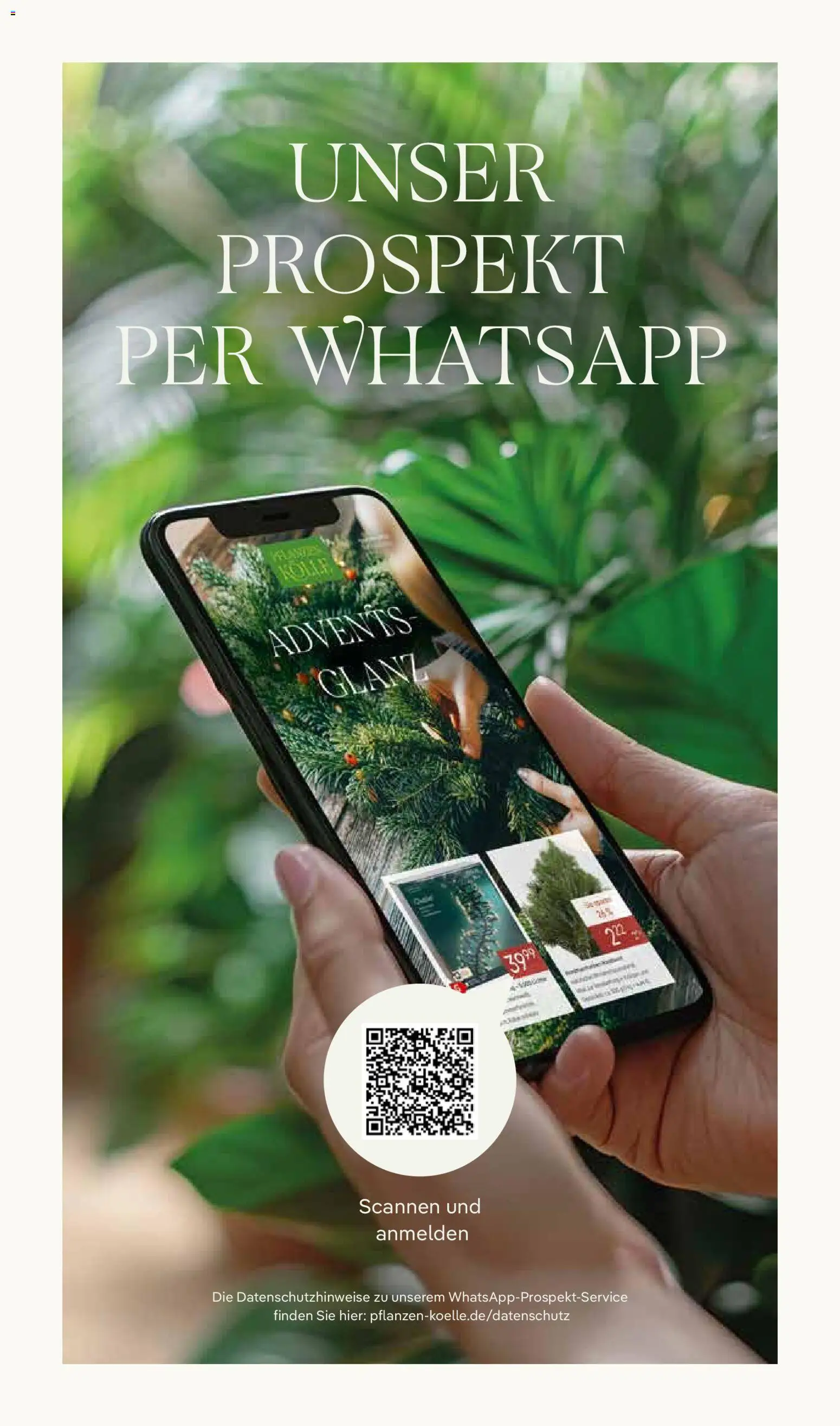 Pflanzen-Kölle Prospekt 	 – gültig ab 17.11.2025 | Seite: 16