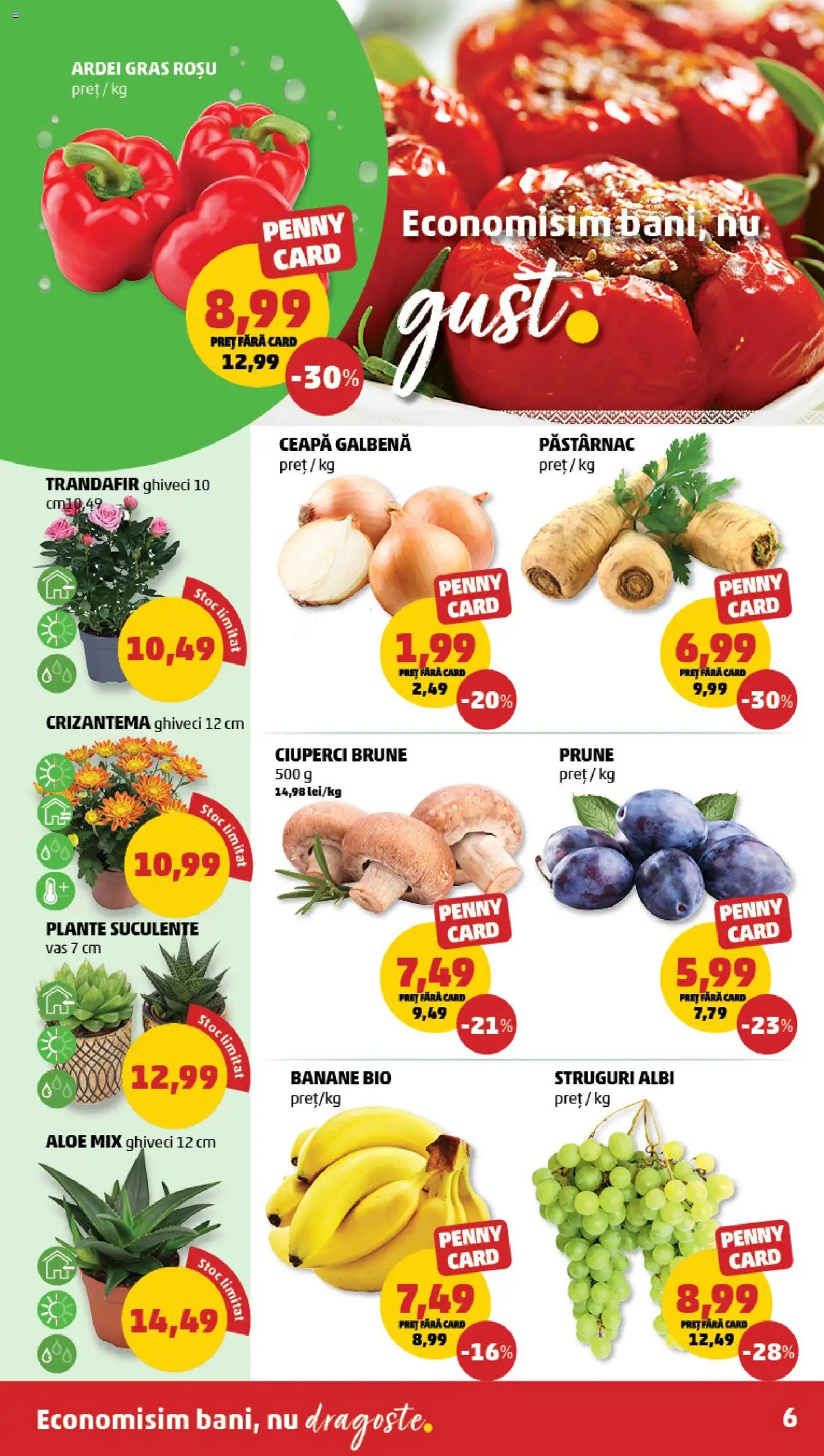 Catalog PENNY – valabil de la 20.08.2025 | Pagină: 6 | Produse: Şerit ödül, Trandafir, Ardei, Prune