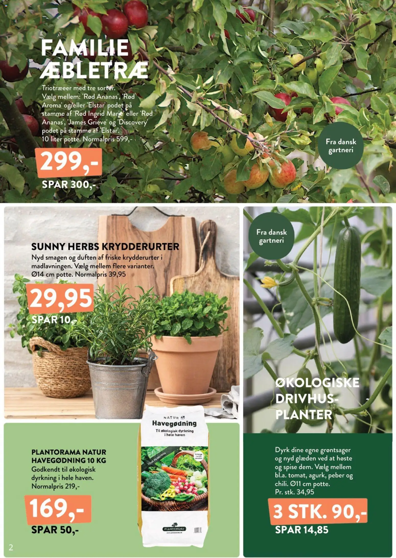 Plantorama tilbudsavis – gyldig fra 24.04.2026 | Side: 2 | Produkter: Peber