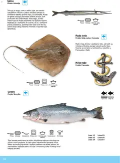 Metro riba i plodovi mora - pregled Metro kataloga - važi od 10.12.2025 | Strana: 14 | Proizvode: Losos, Riba