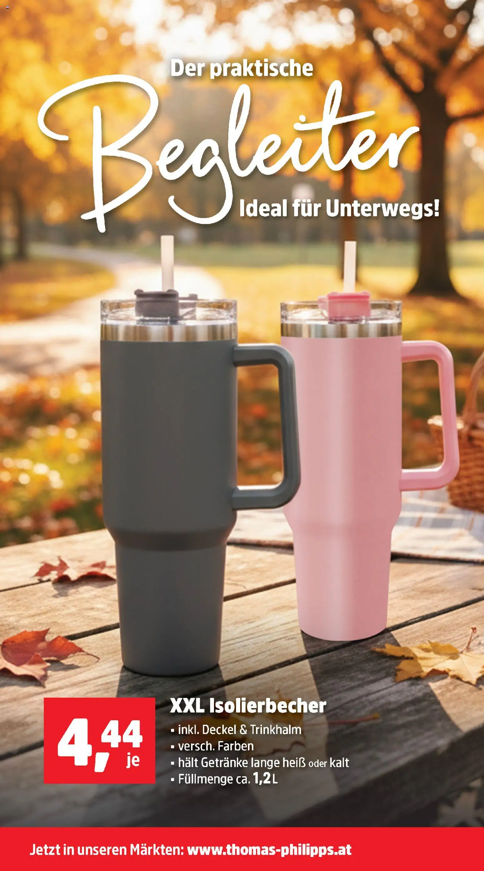 Thomas Philipps Flugblatt gültig ab 03.11.2025 | Seite: 19