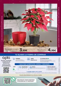 Vista previa Hipercor catálogo válido desde el 04.12.2025 | Página: 82 | Productos: Teléfono, Maceta
