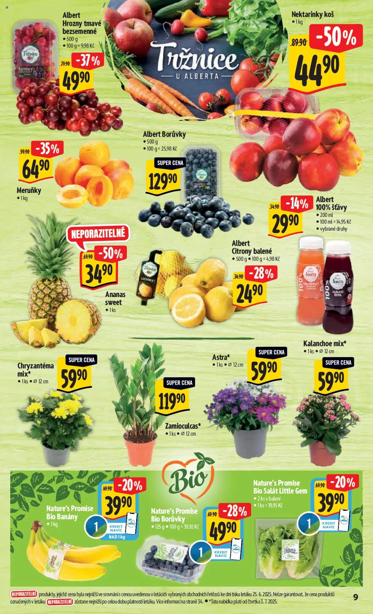Albert leták - Hypermarket od 02.07.2025 | Strana: 14 | Produkty: Kalanchoe, Borůvky, Citróny, Meruňky