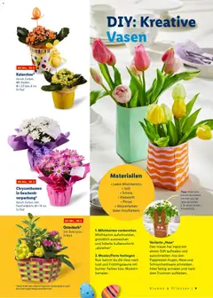 Lidl - Prospekt ab 09.03.2026 gültig | Seite: 9 | Produkte: Korb, Blumen, Vase, Pinsel