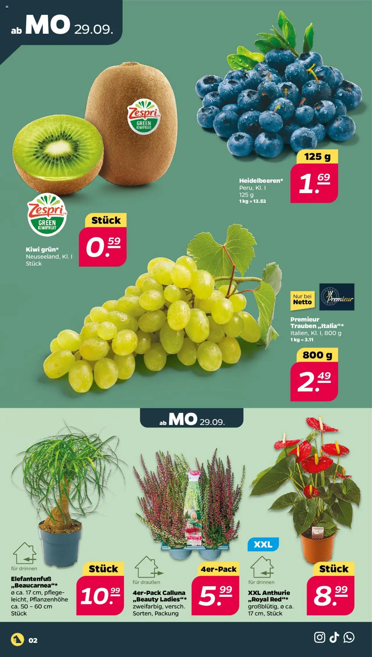 Netto Prospekt 	 – gültig ab 29.09.2025 | Seite: 2 | Produkte: Trauben, Kiwi