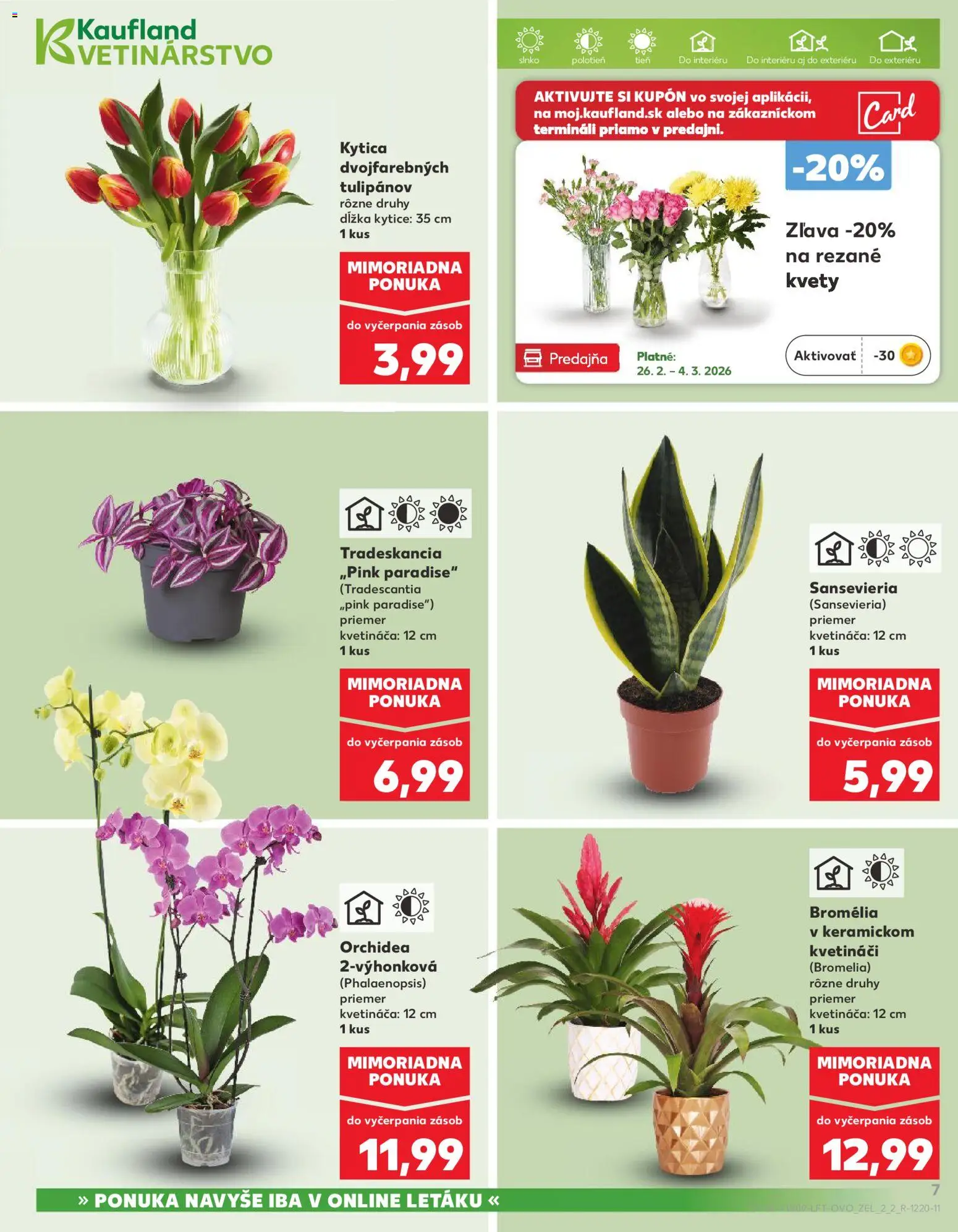 Nové Kaufland akcie – leták je platný od 26.02.2026 | Strana: 7 | Produkty: Kvety, Orchidea