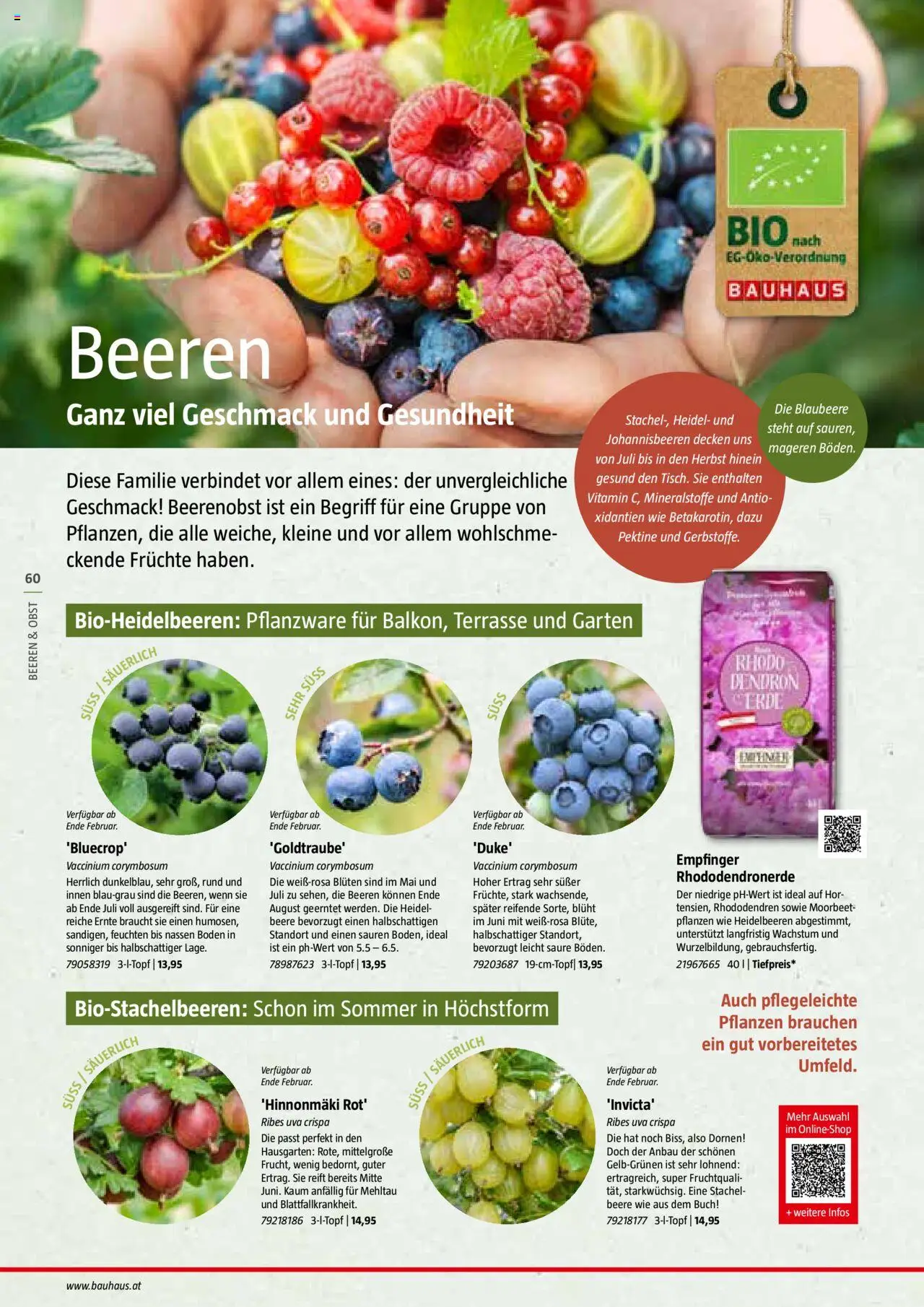 Bauhaus Reiche Ernte Magazin 2025 gültig ab 01.07.2025 | Seite: 60 | Produkte: Obst