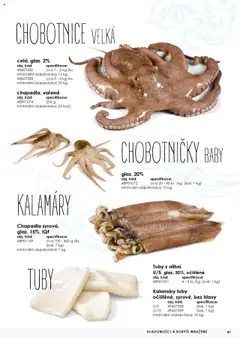 CHOBOTNICE VELKÁ, celá, glaz. 2% od 01.01.2025 | Strana: 47 | Produkty: Chobotnice