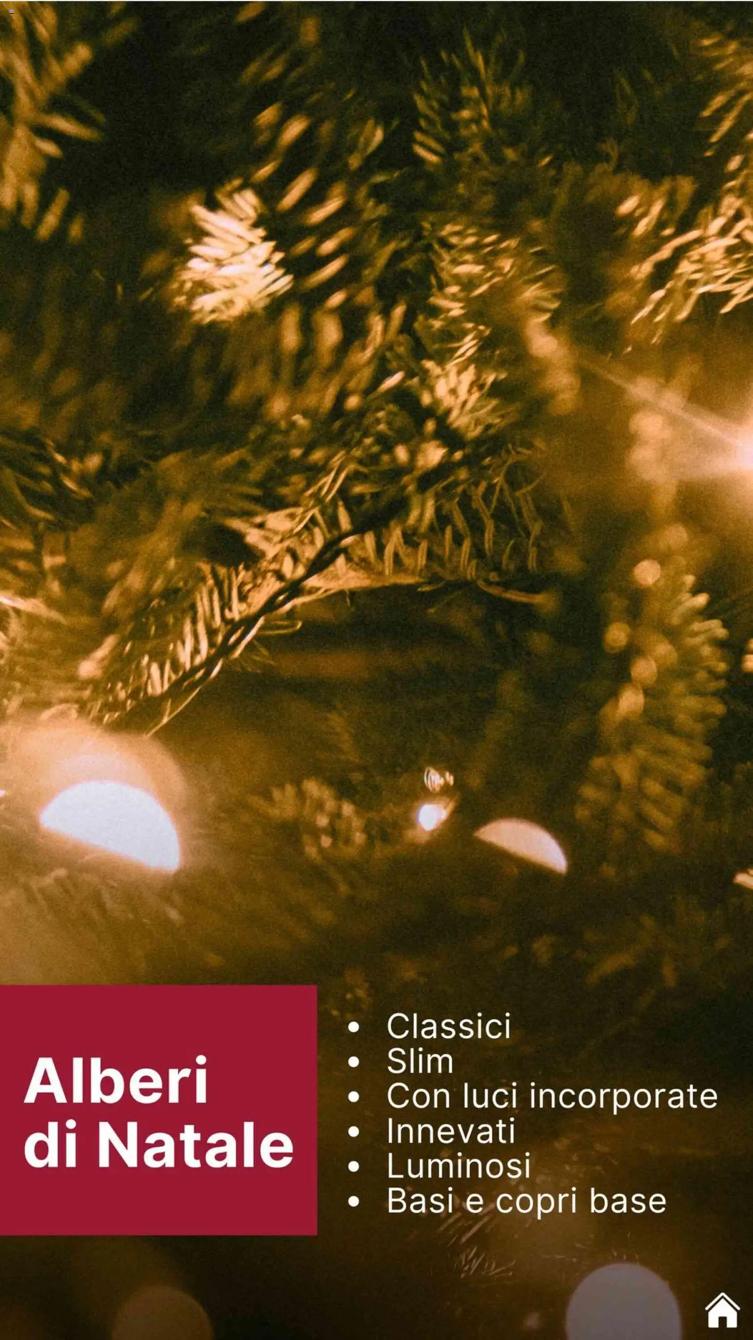 Volantino Brico Center del 12.11.2025 | Pagina: 2