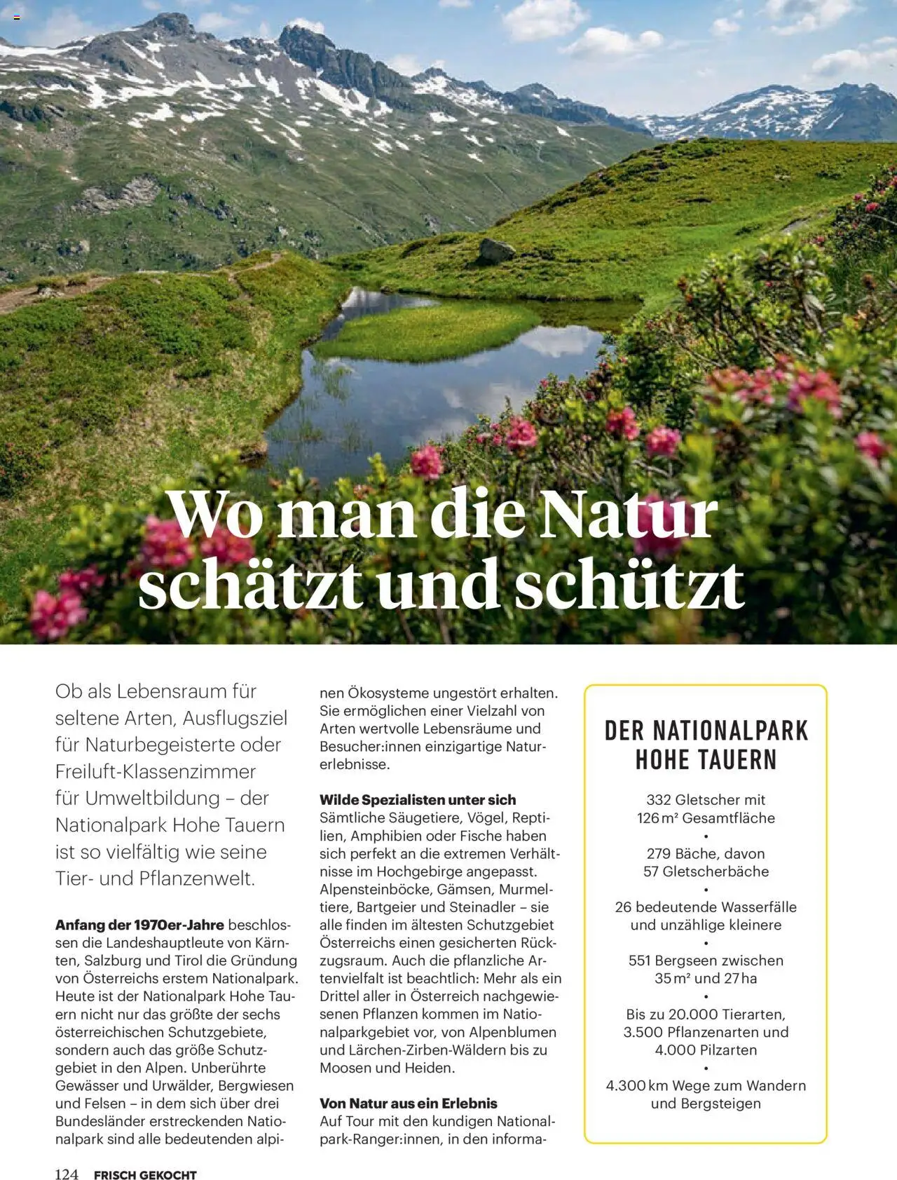 Billa Frisch Gekocht gültig ab 03.07.2025 | Seite: 124