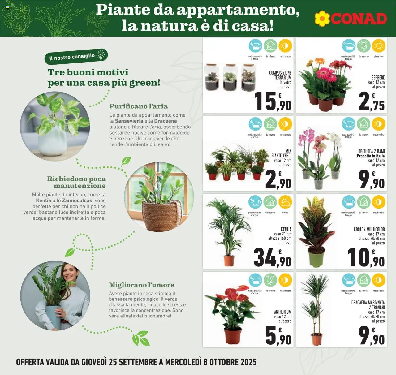 Volantino Conad del 25.09.2025 | Pagina: 6 | Prodotti: Acqua, Orchidea, Vaso