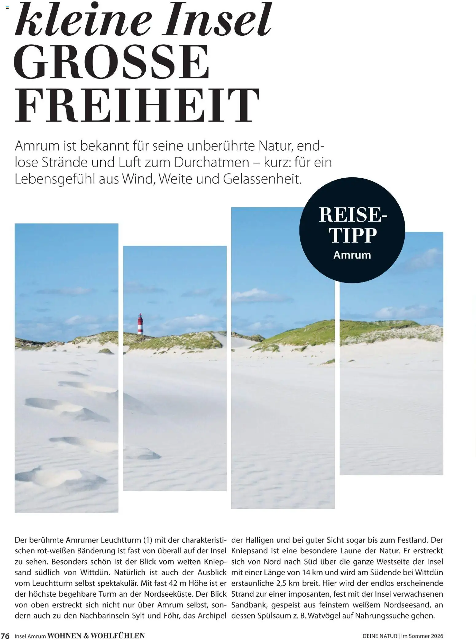 Dehner Flugblatt gültig ab 01.05.2026 | Seite: 76