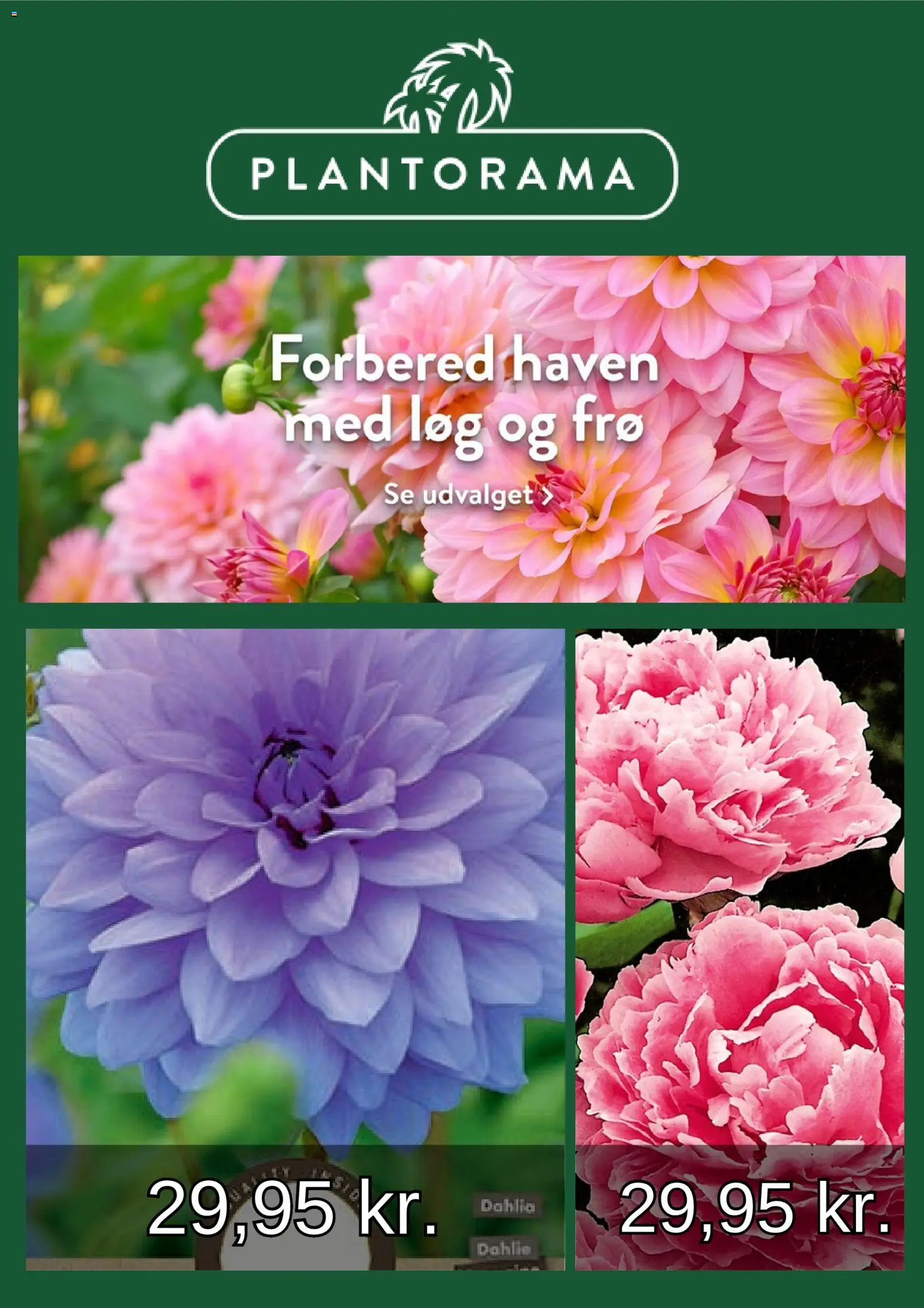 Plantorama tilbudsavis – gyldig fra 01.03.2026 | Side: 1 | Produkter: Løg