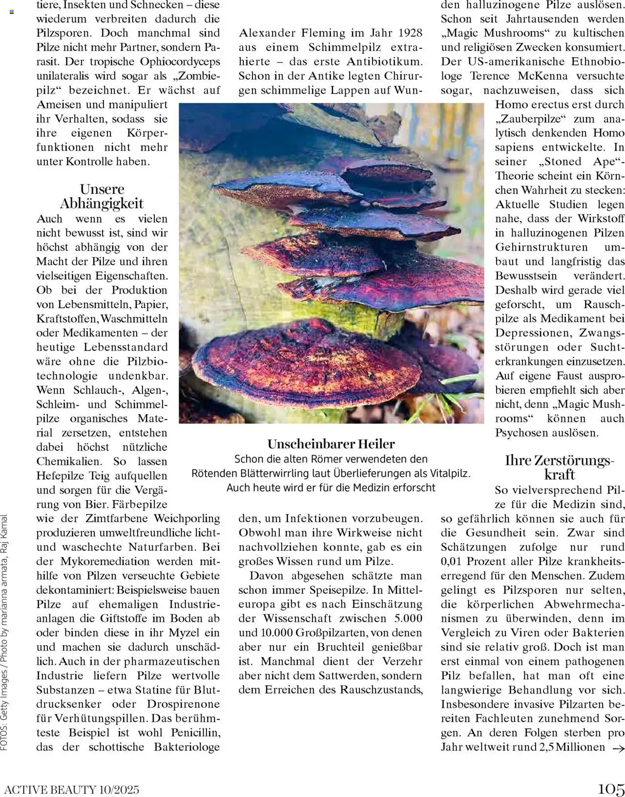 dm drogerie markt Active Beauty Magazin 10/2025 gültig ab 01.10.2025 | Seite: 105