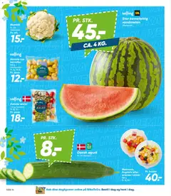 Bilka - Tilbudsavis uge 16 gyldig fra 10.04.2026 | Side: 19 | Produkter: Æbler, Ananas, Kartofler, Vandmelon