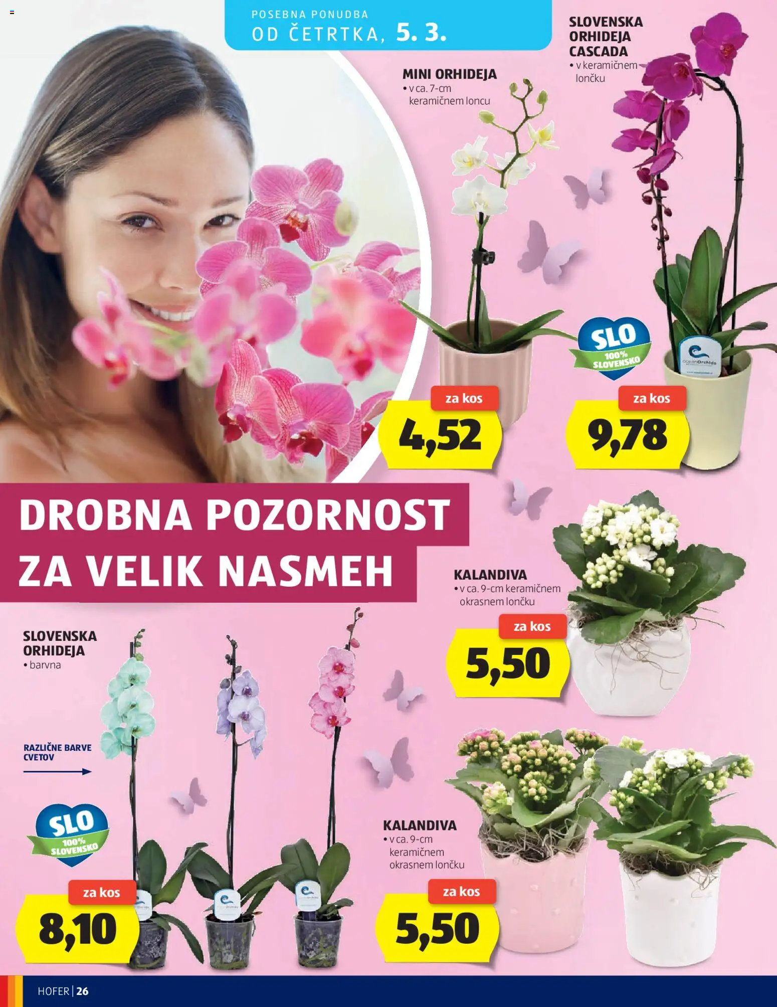 Novi Hofer katalog ponudbe – veljaven od 25.02.2026 | Stran: 26 | Izdelki: Kos