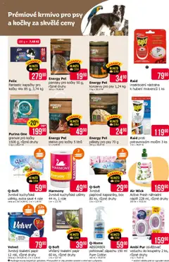 TETA Drogerie leták od 31.07.2025 | Strana: 12