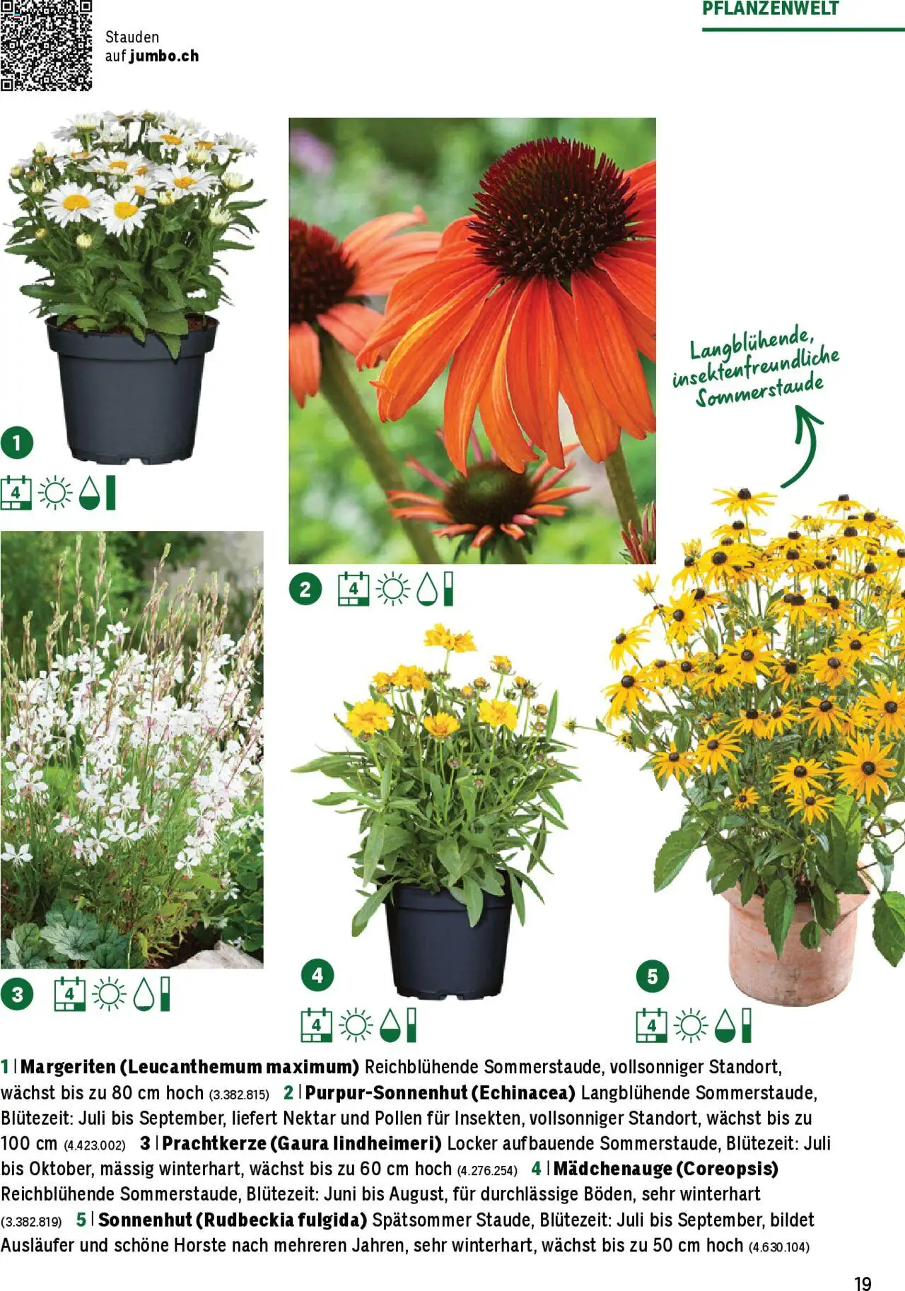 Jumbo Aktionen Dein Garten 2025 ab 21.02.2025 | Seite: 19
