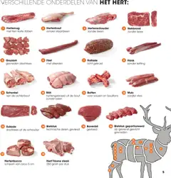 Hanos - Wildbrochure 2025/2026 - Voorbeeld van een folder van Hanos, geldig van 05.10.2025 | Pagina: 5 | Producten: Biefstuk, Steak, Gewicht, Ketting