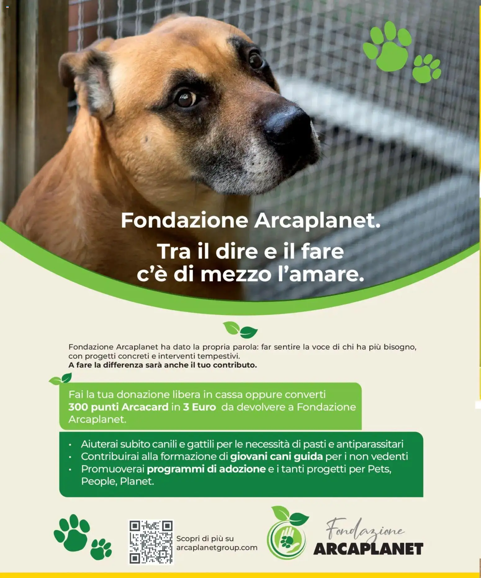 Volantino Arcaplanet del 08.01.2026 | Pagina: 34