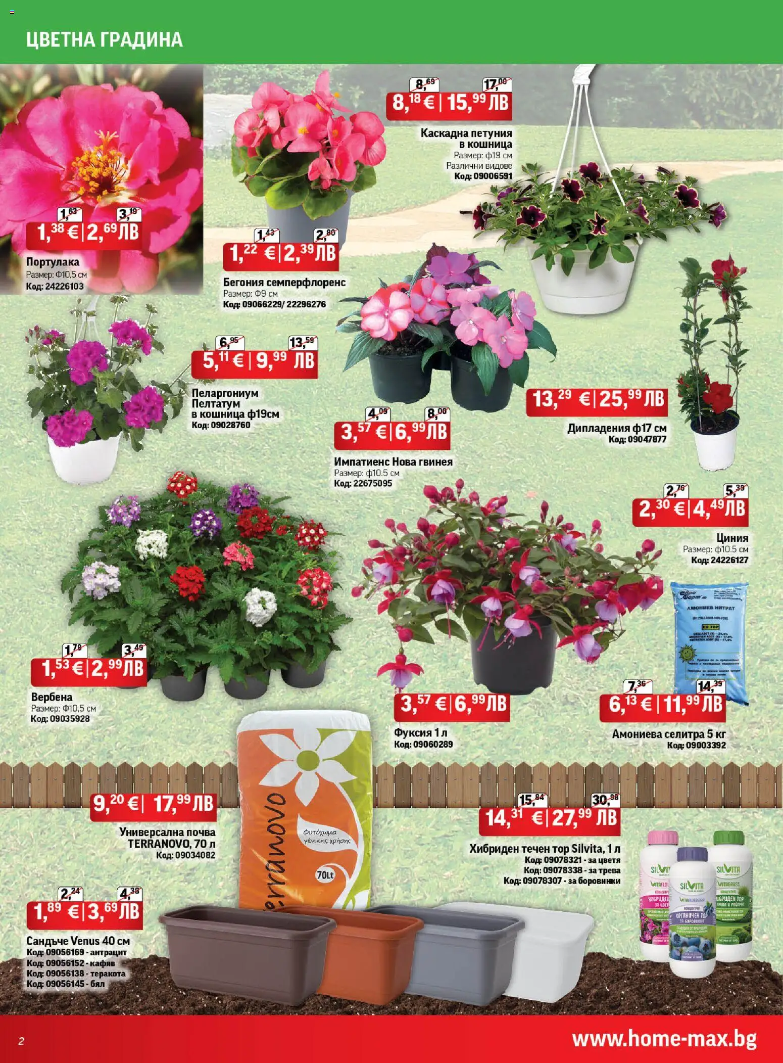 {H1} | Страница: 2 | Продукти: Боровинки, Кошница