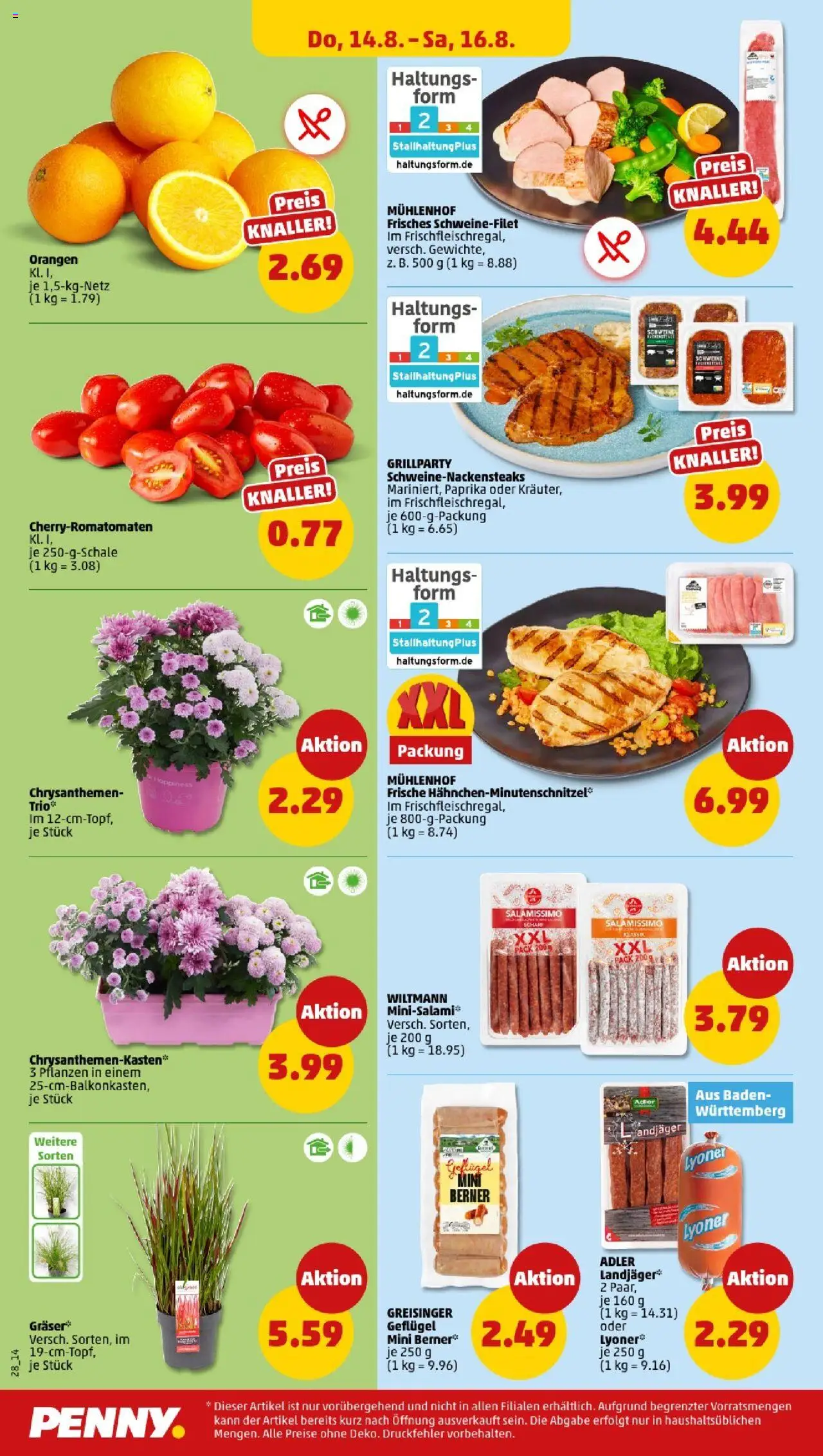 Penny - Baden-Württemberg - gültig ab dem 11.08.2025 | Seite: 28 | Produkte: Orangen, Schweinefilet, Paprika