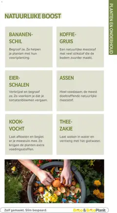 Brico - Tuincatalogus - Voorbeeld van een folder van Brico, geldig van 10.03.2026 | Pagina: 146 | Producten: Bananen, Thee, Boost, Koffie