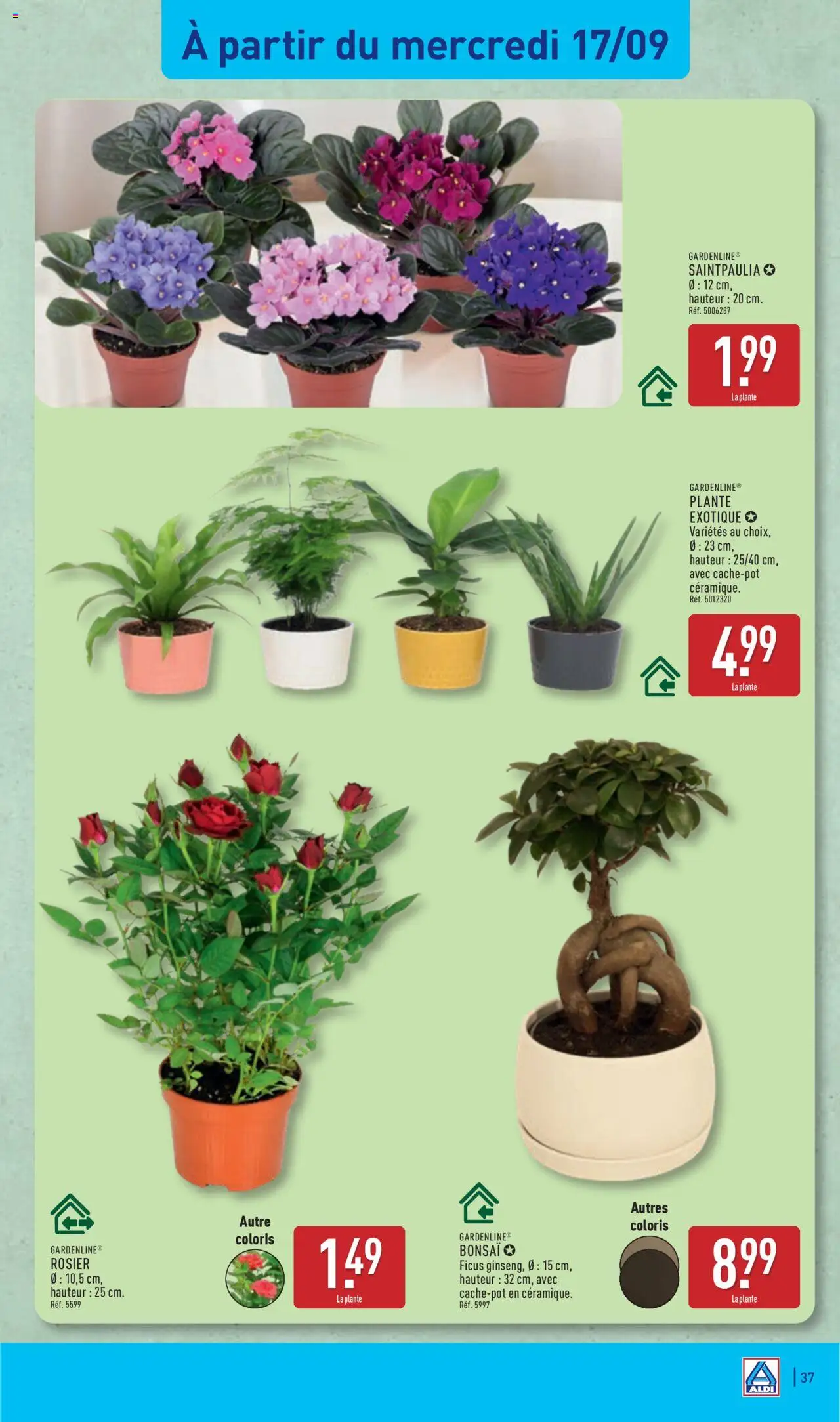  | Page: 40 | Produits: Bonsai, Rosier