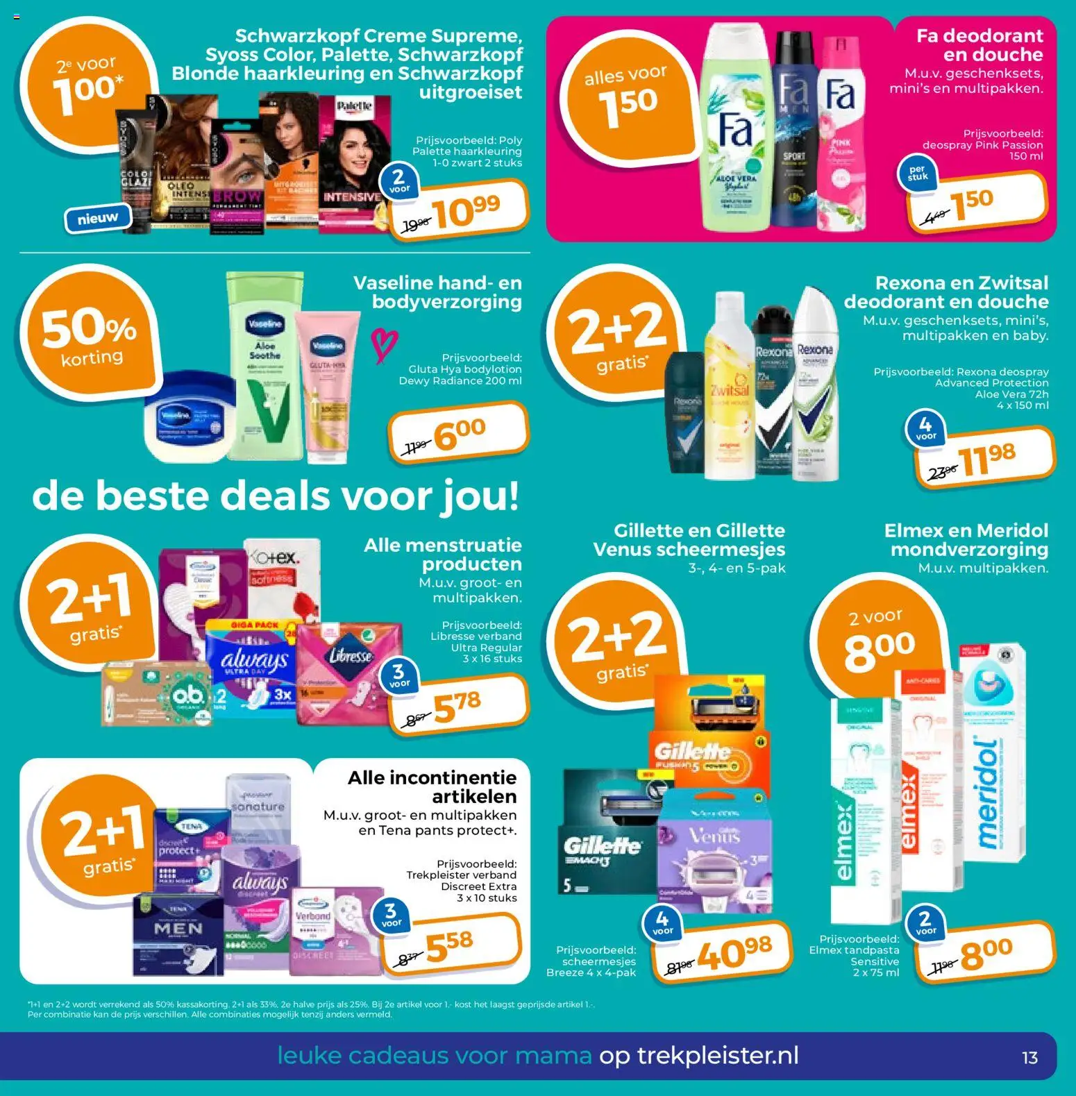 {H1} | Pagina: 13 | Producten: Deodorant, Tandpasta, Kan, Ginkgo biloba