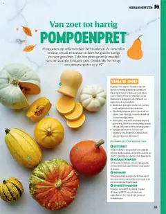 Delhaize Magazine  - Voorbeeld van een folder van Delhaize, geldig van 06.10.2025 | Pagina: 83