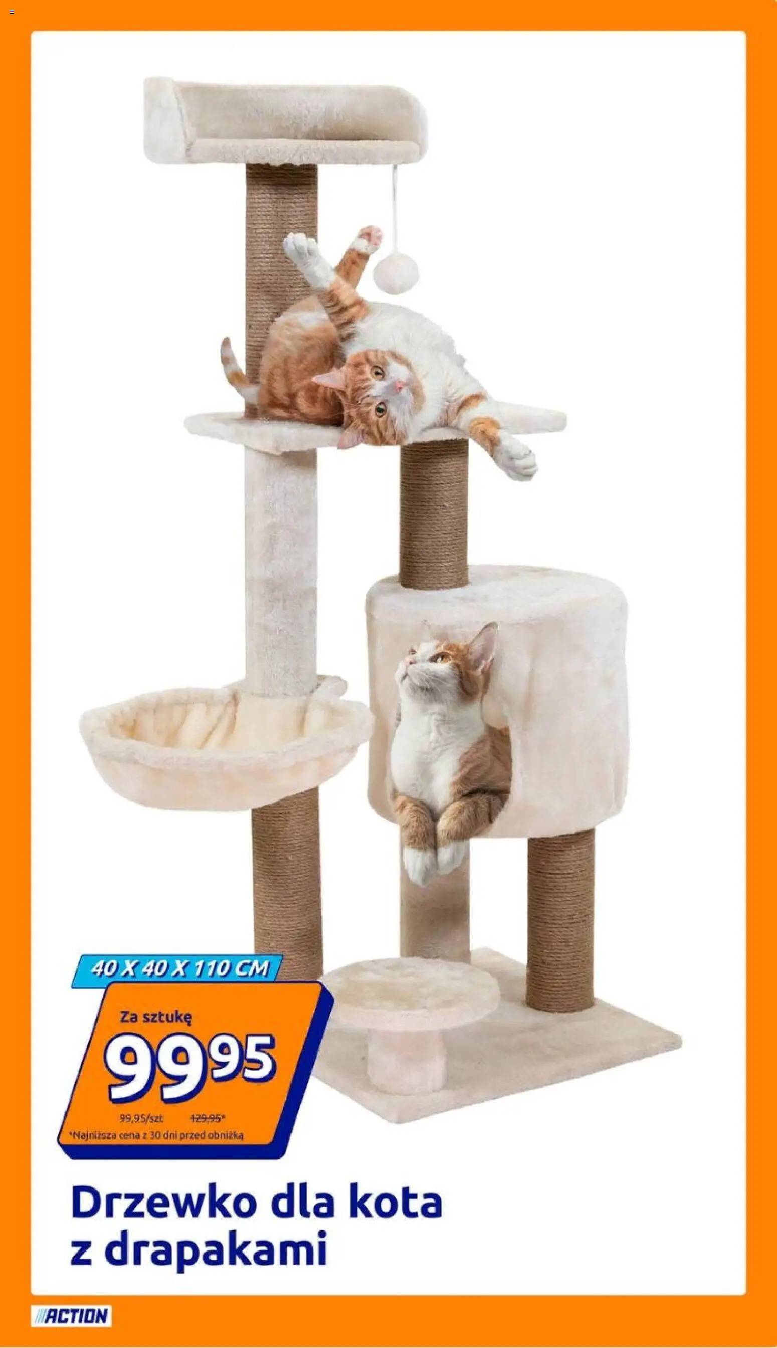 Action Gazetka od 12.11.2025 | Strona: 13