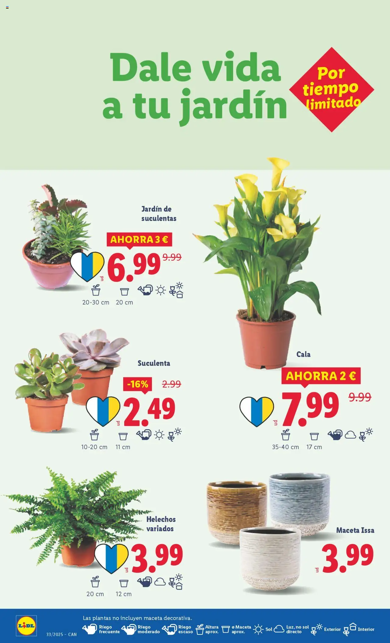 Lidl - Canarias  │ válido desde el 11.08.2025 | Página: 38 | Productos: Maceta