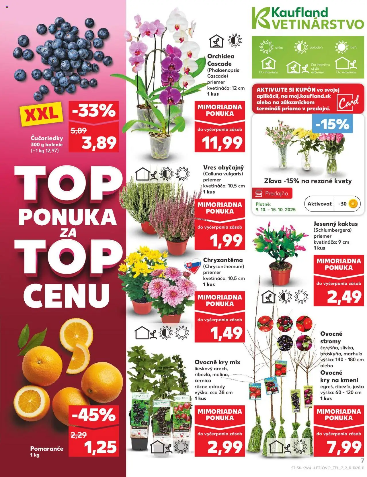 Nové Kaufland akcie – leták je platný od 09.10.2025 | Strana: 7 | Produkty: Pomaranče, Čučoriedky, Kvety, Orchidea